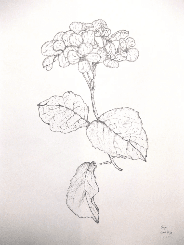 Floral ink illustration